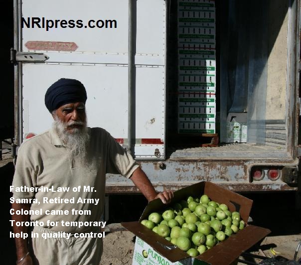 Punjab_Farm-1033- 002